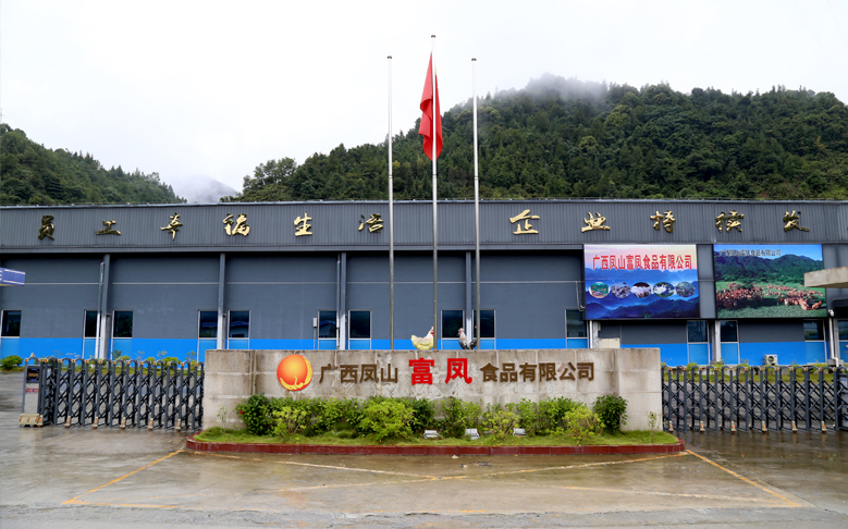 广西凤山香蕉视频污污污食品有限公司