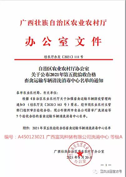 广西香蕉视频污污污集团