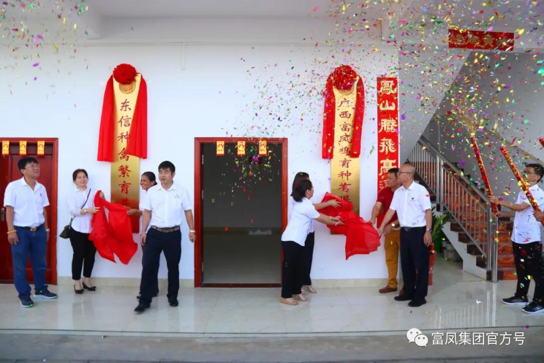 香蕉视频污污污集团