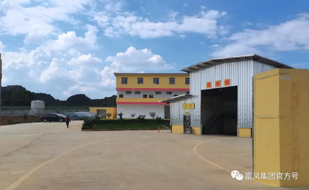 广西香蕉视频污污污集团