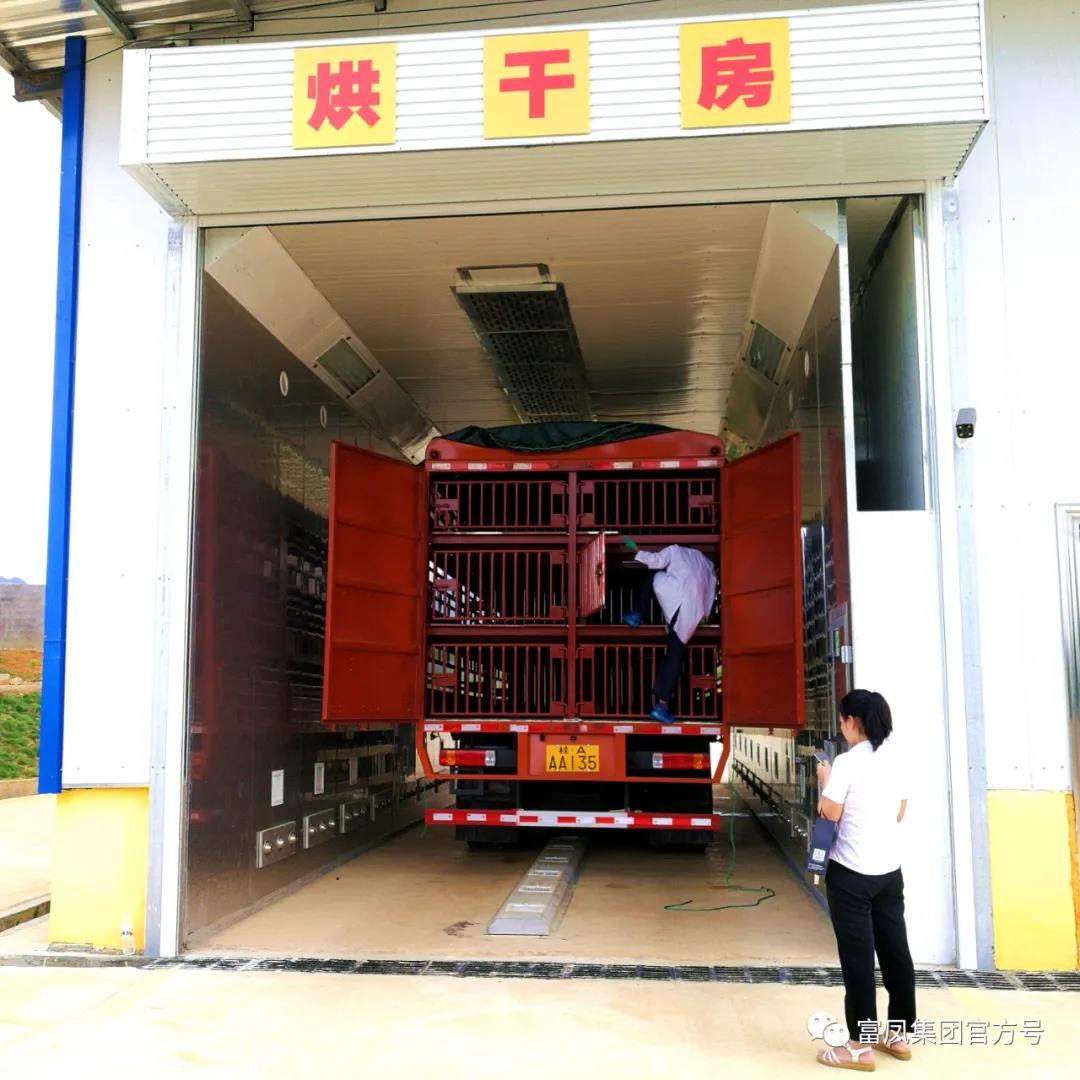 广西香蕉视频污污污集团