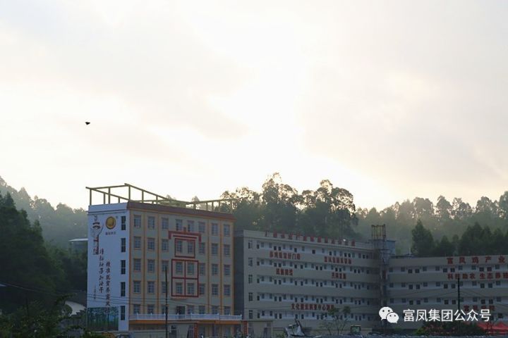 广西香蕉视频污污污农牧集团