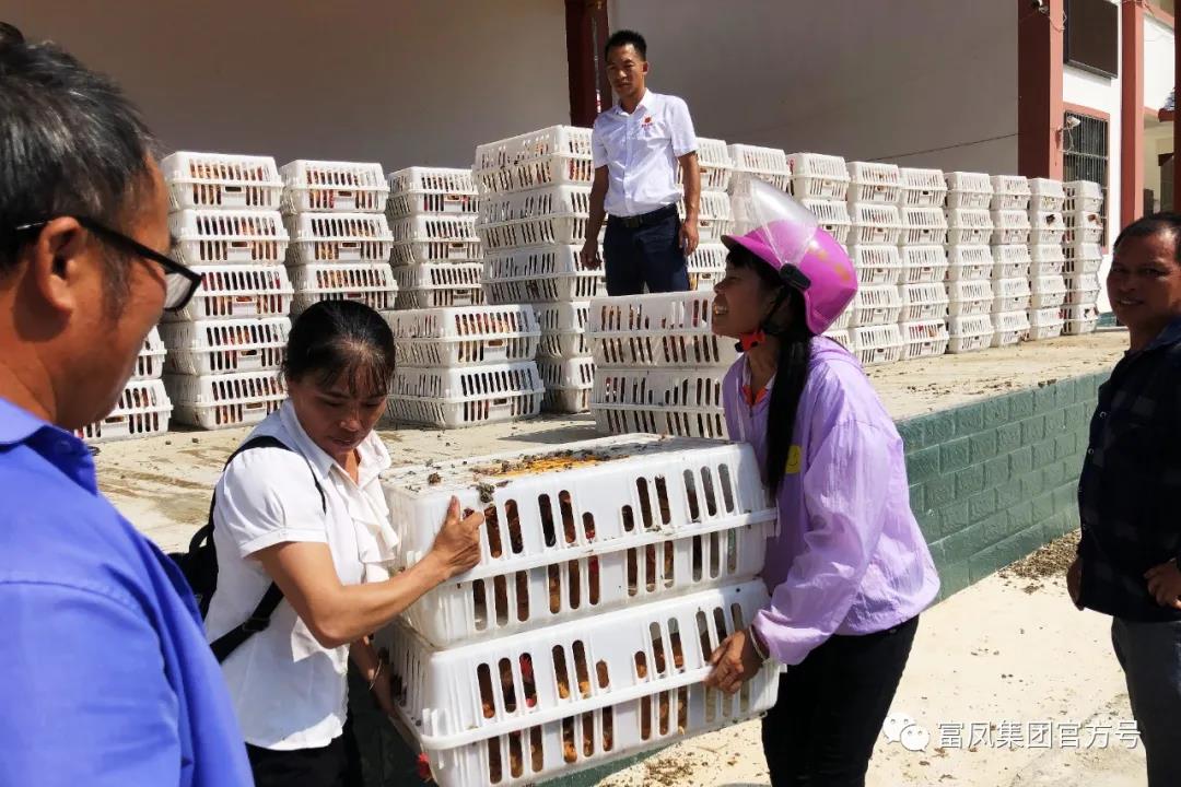 广西香蕉视频污污污农牧集团