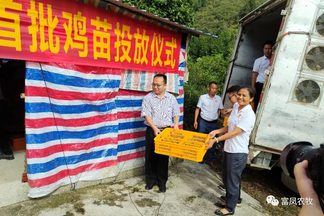 广西香蕉视频污污污农牧集团