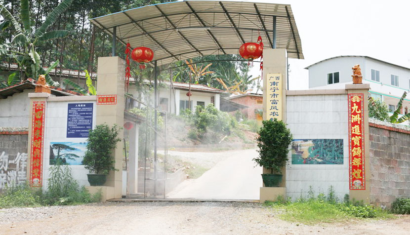 广西香蕉视频污污污鸡育种有限公司