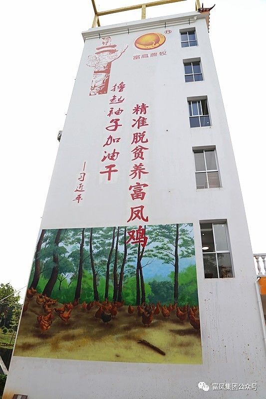 广西香蕉视频污污污农牧集团