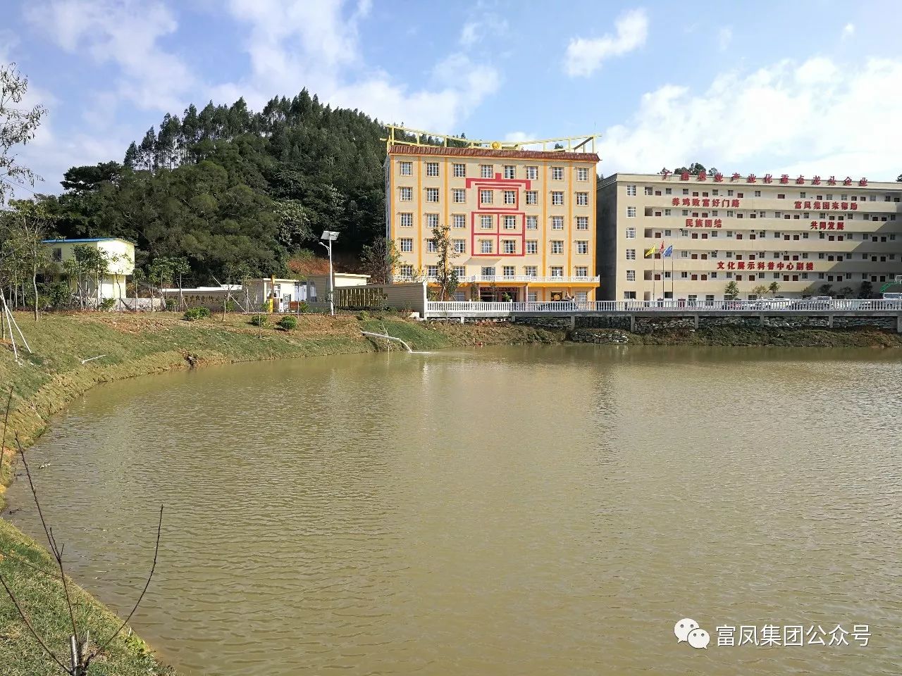 广西香蕉视频污污污农牧集团