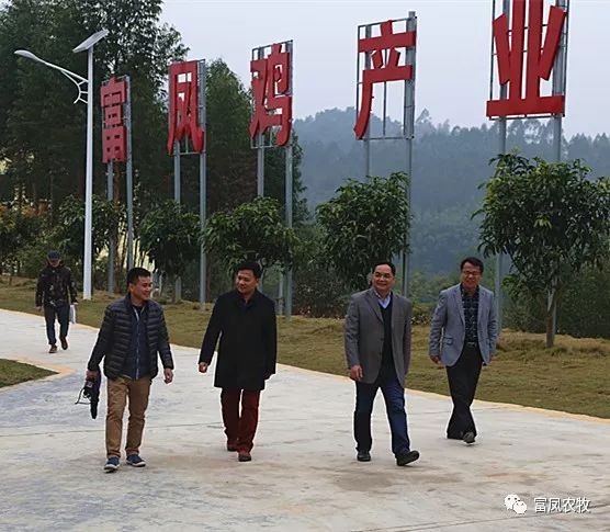 广西香蕉视频污污污农牧集团