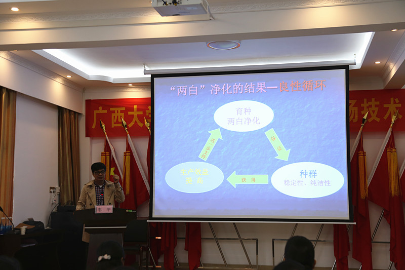 广西香蕉视频污污污农牧集团