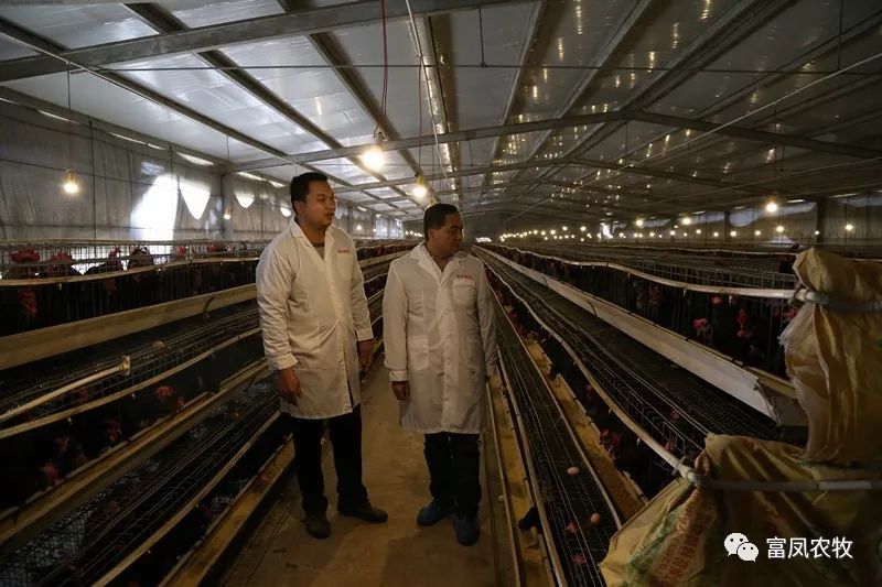 广西香蕉视频污污污农牧集团